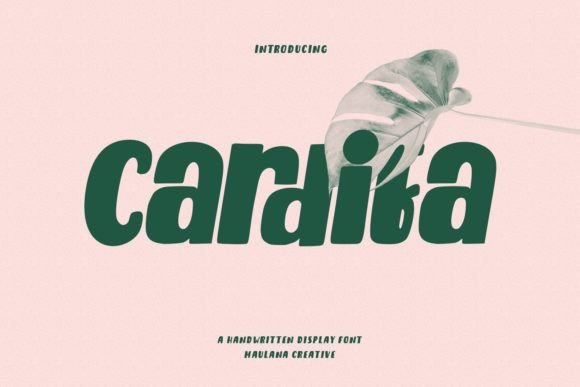Cardifa: A Bold Creative Force