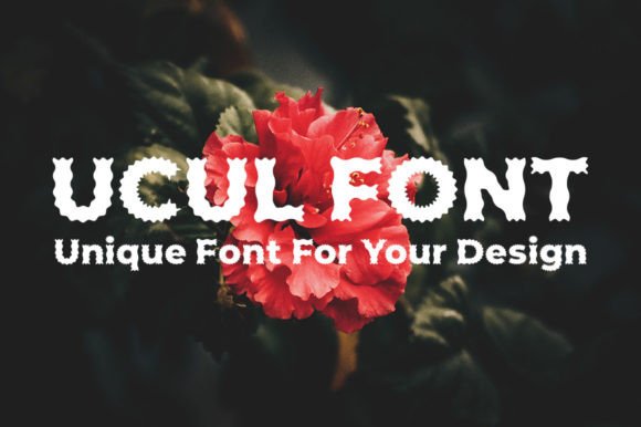 Discover Ucul: A Quirky and Versatile Display Font for Every Project